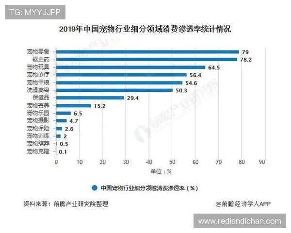 上海羽毛球队运营模式分析与发展趋势探讨 上海羽毛球队运营模式分析与发展趋势探讨